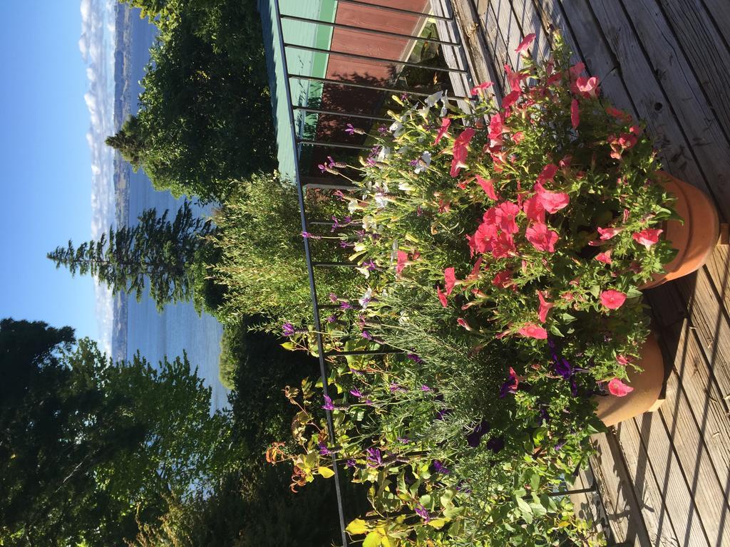 Lakeview Holiday Home Rotorua Buitenkant foto